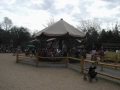 Charlotte_Rensaissance_Faire013.jpg