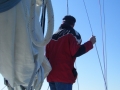 DSCF0006