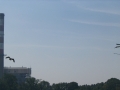Summer 2008 007