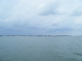 DSCF0286