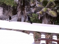 IMAG0039