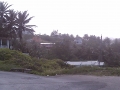 IMAG0041