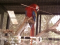 IMAG0074