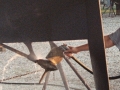 WaterProp