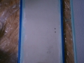 IMAG0590