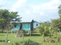 DSCN1030
