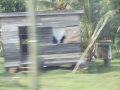 DSCN1038