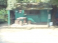 DSCN1043