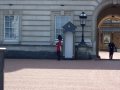 Guard outside Buckingham Palace