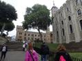 Tower of London grounds