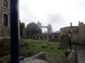 Tower Bridge from Tower of London