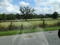 Round hay bales