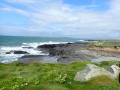 View from Hook Lighthouse