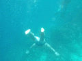 Carlos-in-the-Water-2